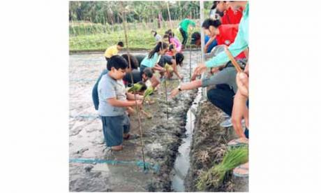 Ayo Melali di Carik 2017