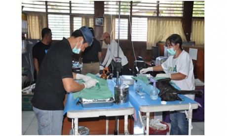 Kegiatan Vaksinasi Rabies, Sterilisasi dan Kastrasi gratis