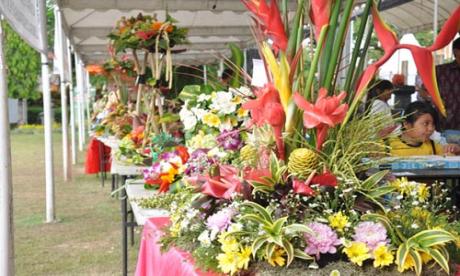Laporan dari Denpasar Horticulture Festival 2013