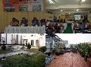 â€œRoof Gardenâ€ Siasat Cerdas Penghijauan di Wilayah Perkotaan