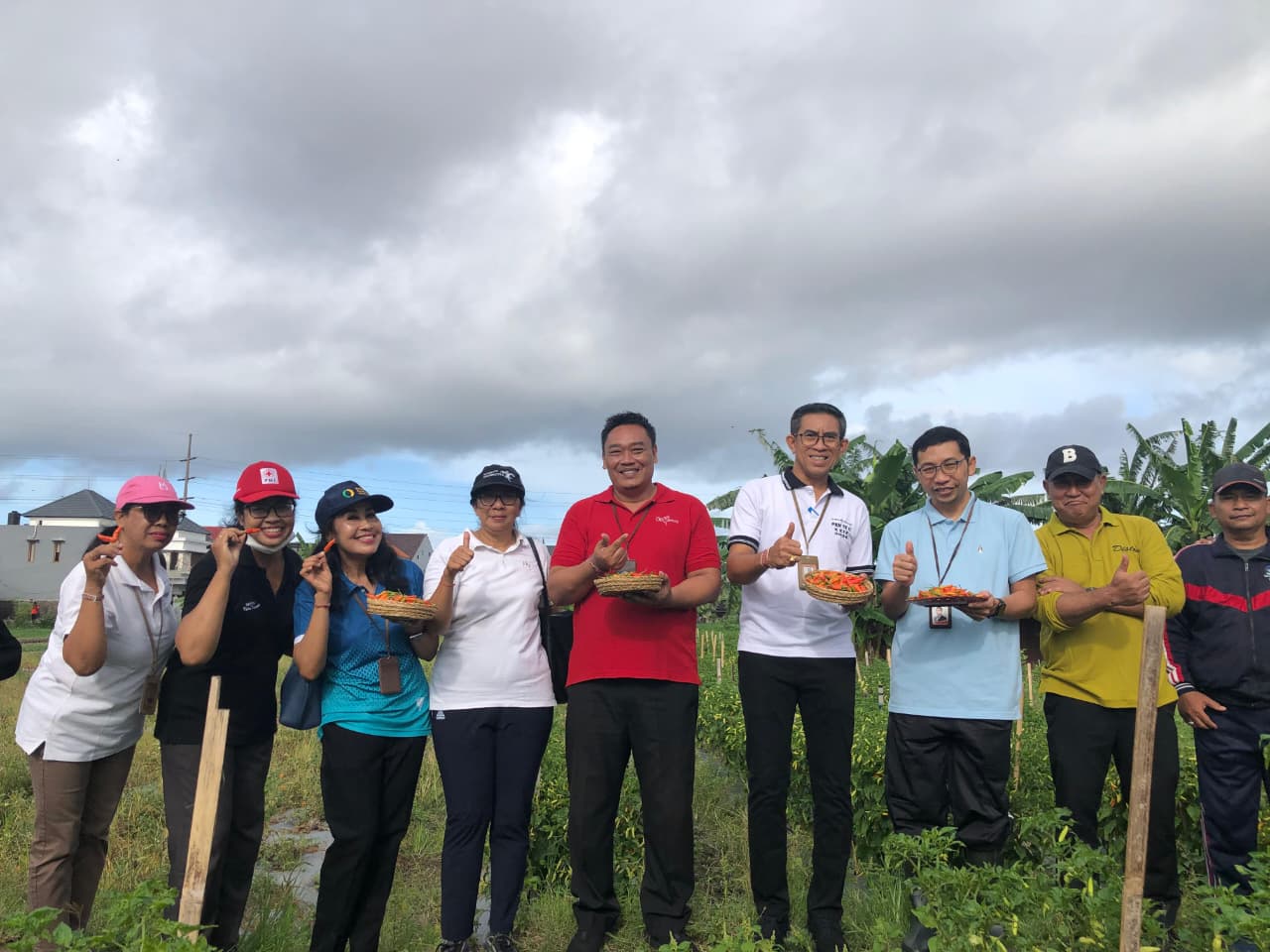 Panen Cabai di Subak Cuculan Denpasar Selatan, Perkuat Pengendalian Inflasi dan  Pendapatan Petani